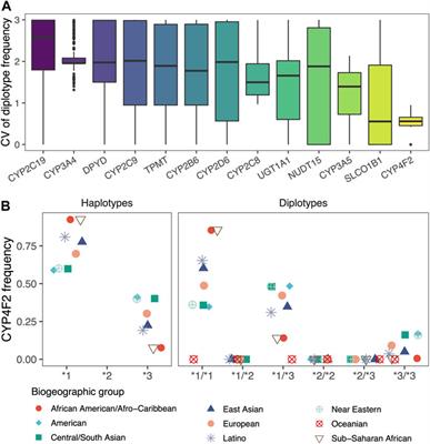 PAnno: A pharmacogenomics annotation tool for clinical genomic testing